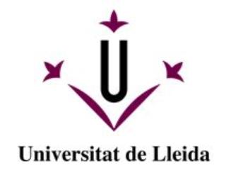 Lleida University 
